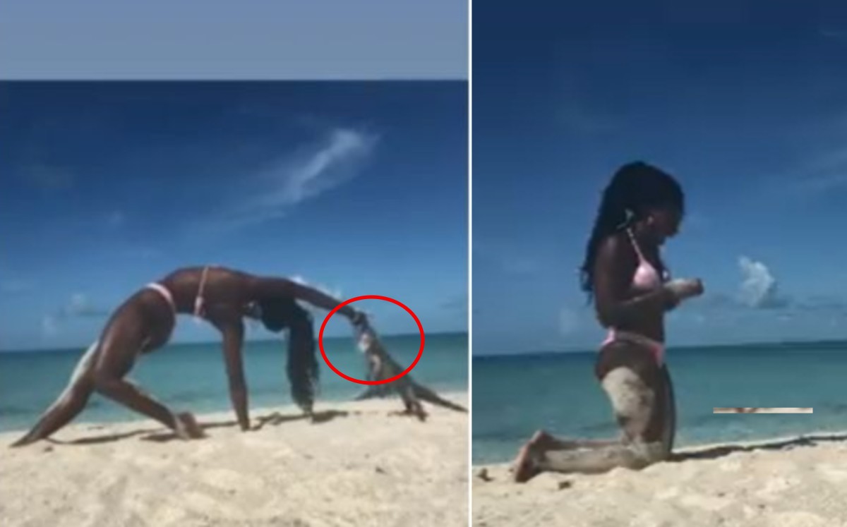 ¡Ataque animal! Maestra de yoga sufre mordedura de iguana en la playa. (Especial)