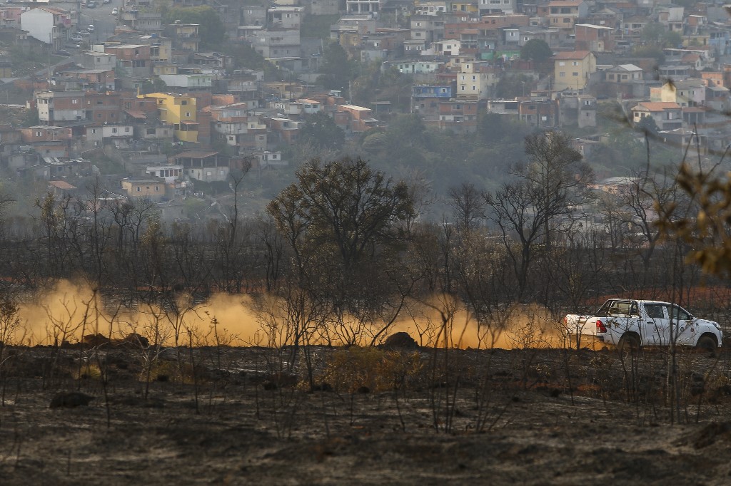 El incendio destruyó más de la mita del parque ubicado a las afueras de Sao Paulo. (AFP)