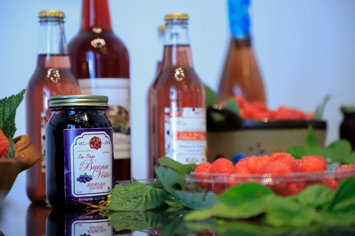 Anuncian segunda Feria de las Berries en San Diego Buenavista | Especial