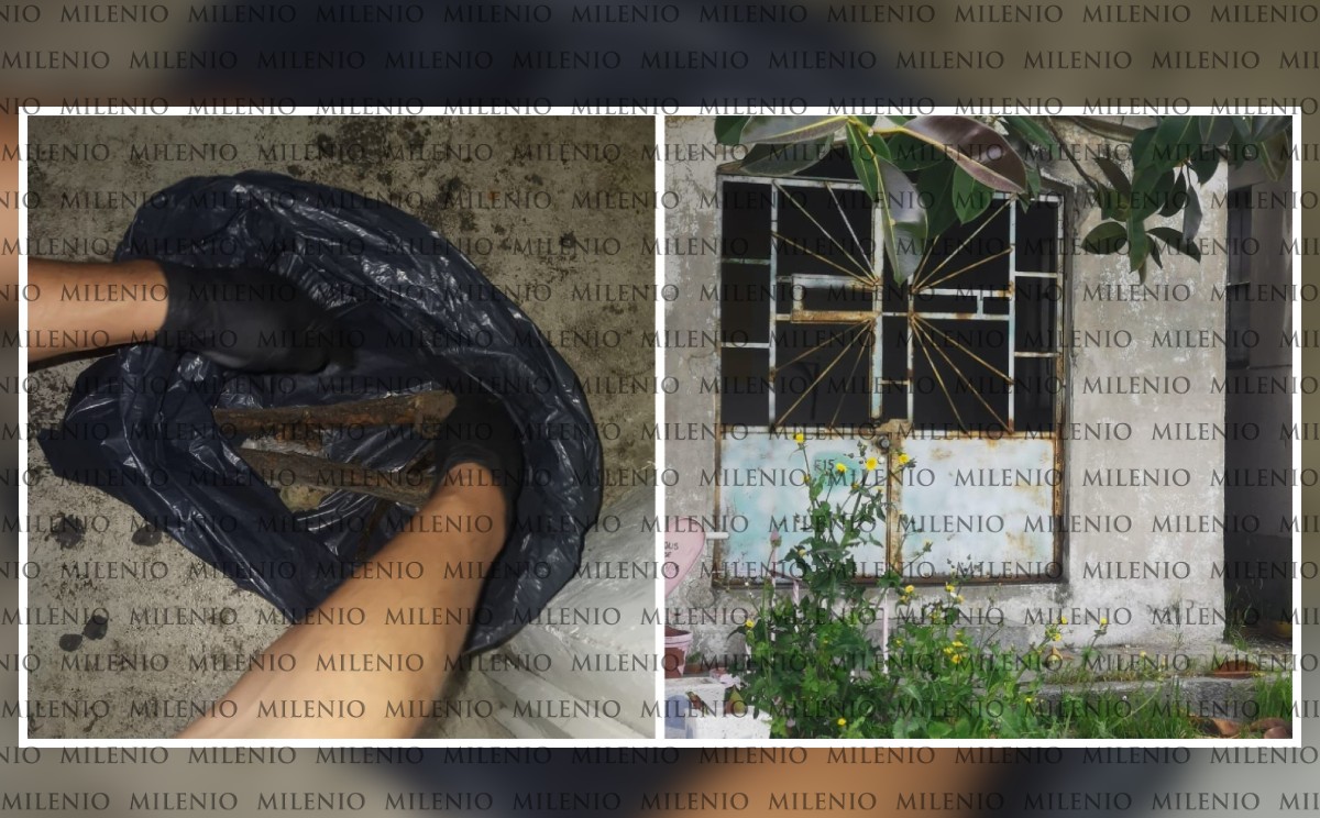 Se les detuvo por comisión de delitos contra el respeto a los muertos y violación a las leyes de inhumación y exhumación. | Osvaldo Müller