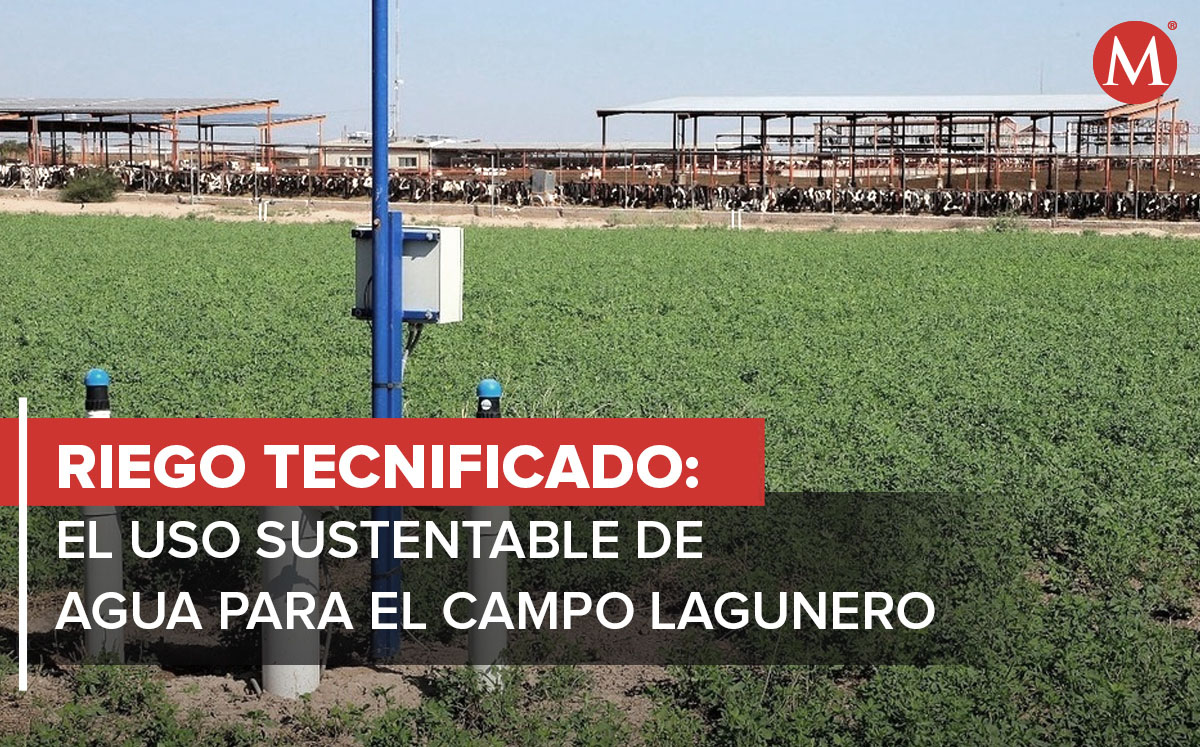 agua saludable riego tecnificado tecnología para el campo lagunero