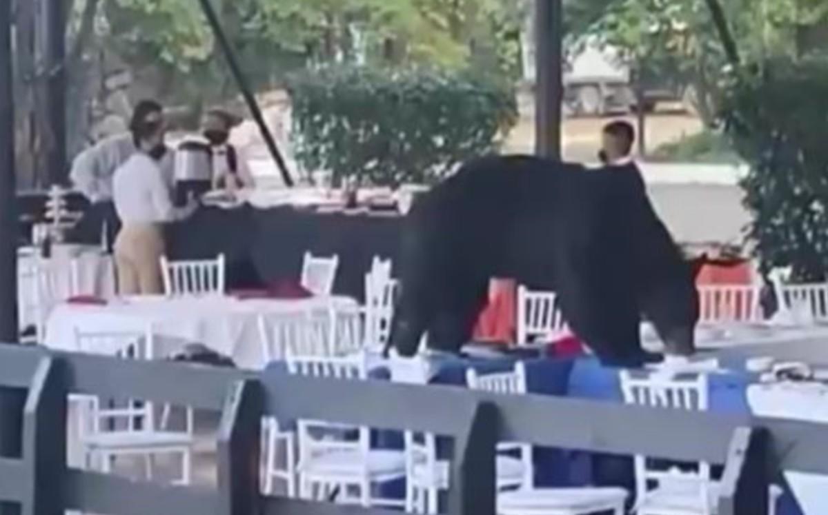 La gente dejó de comer y se alejó.