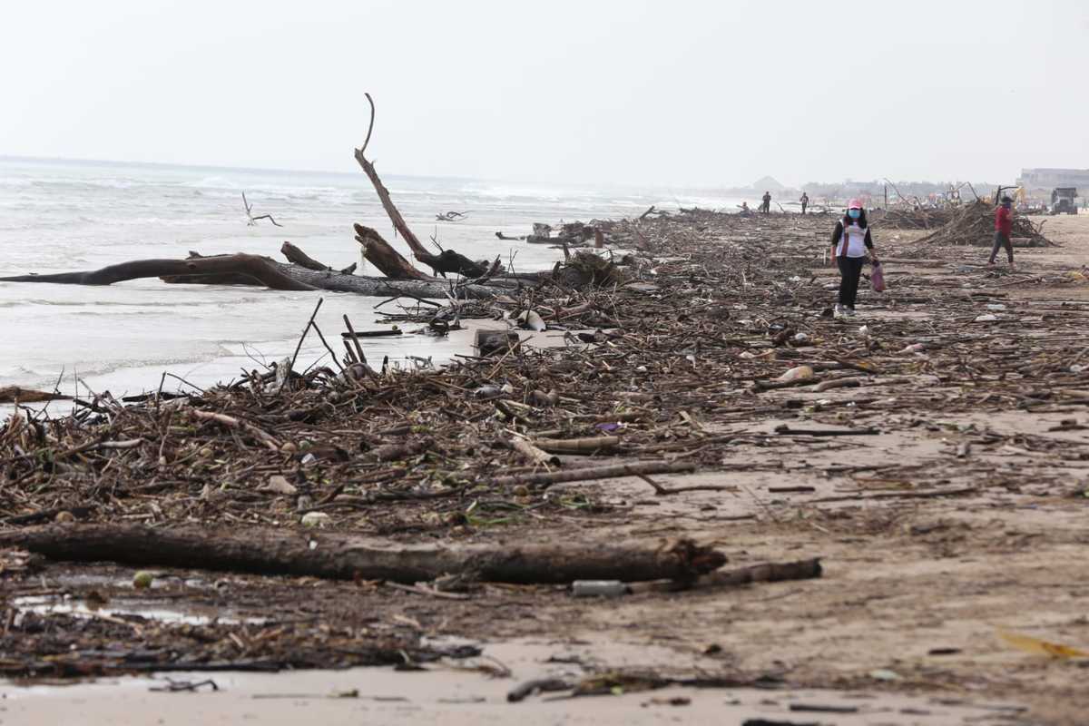 A pesar de palizada, playa Miramar se encuentra abierta (Yazmín Sánchez)