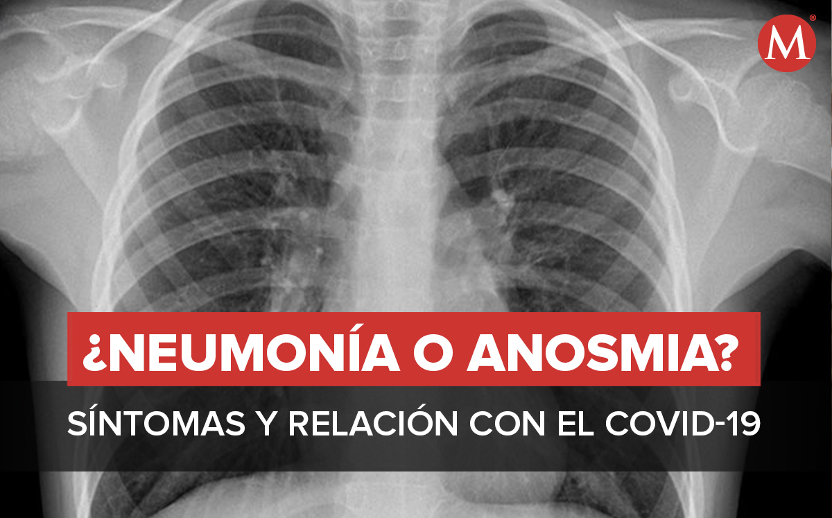 Neumonía y anosmia y su relación con el covid-19. / Diseño: Margarita Salmorán