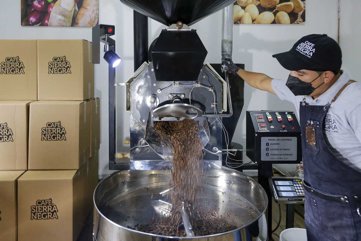 Café Sierra Negra. (Andrés Lobato)