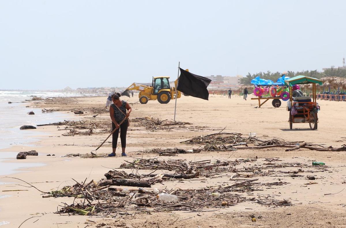 Retiran palizada en playa Miramar con 87 camiones (Yazmín Sánchez)