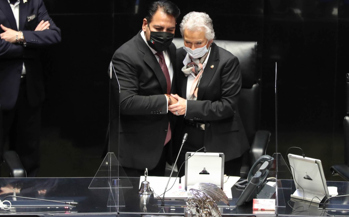 Sánchez Cordero será la presidenta del Senado en la 65 legislatura. | Especial