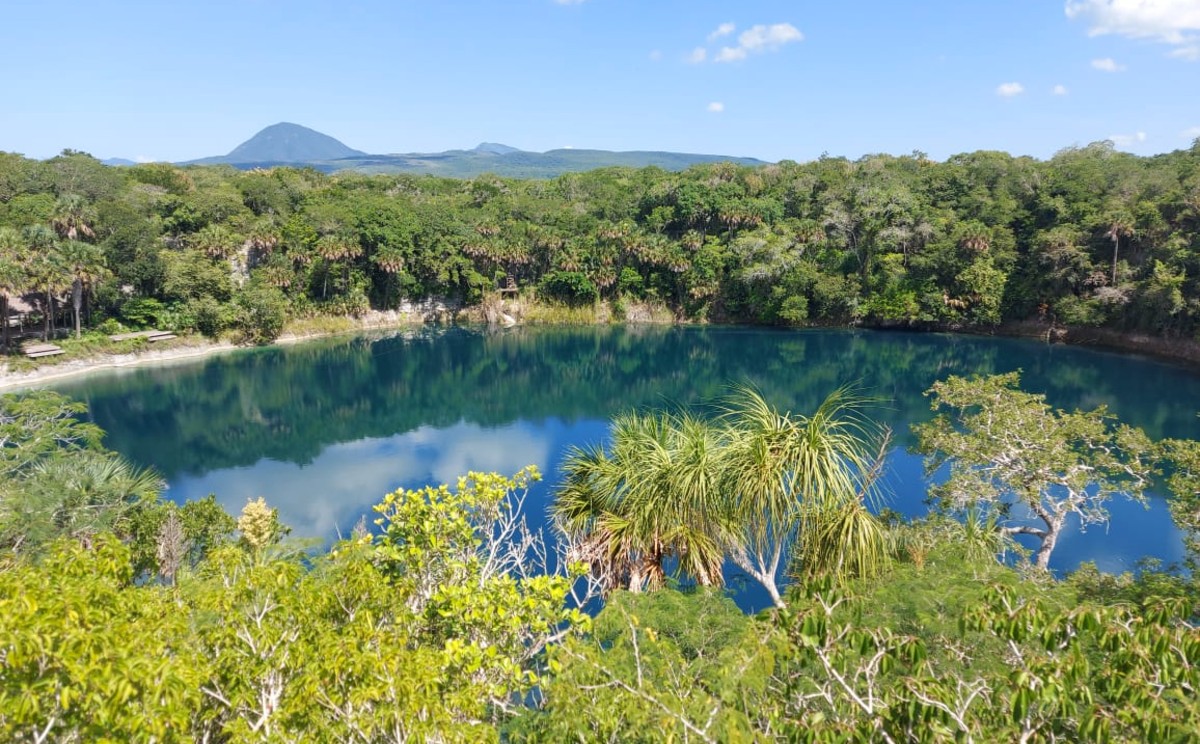 Poza verde, cenote en Aldama. (Salma Navarro)