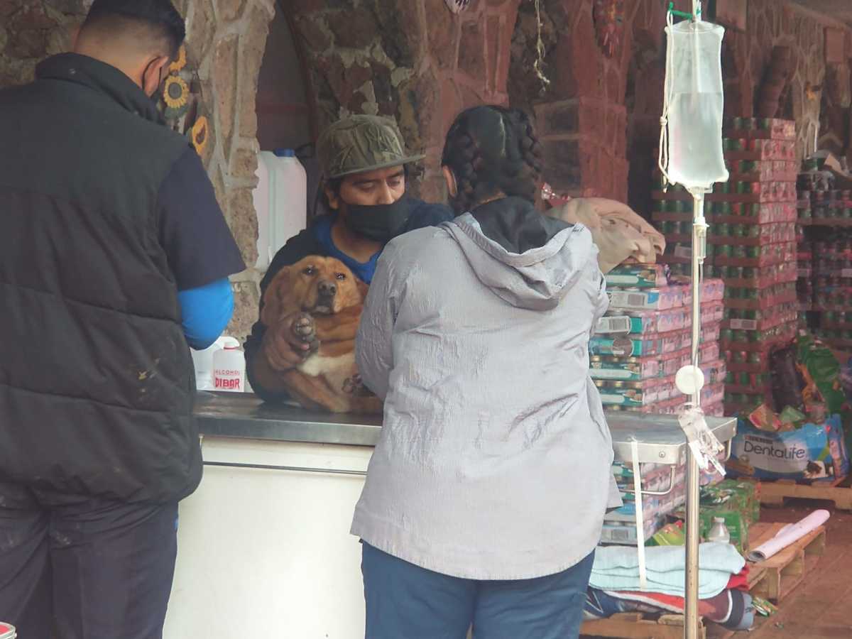 La parte afectada del refugio fue la de la tercera edad (Especial)