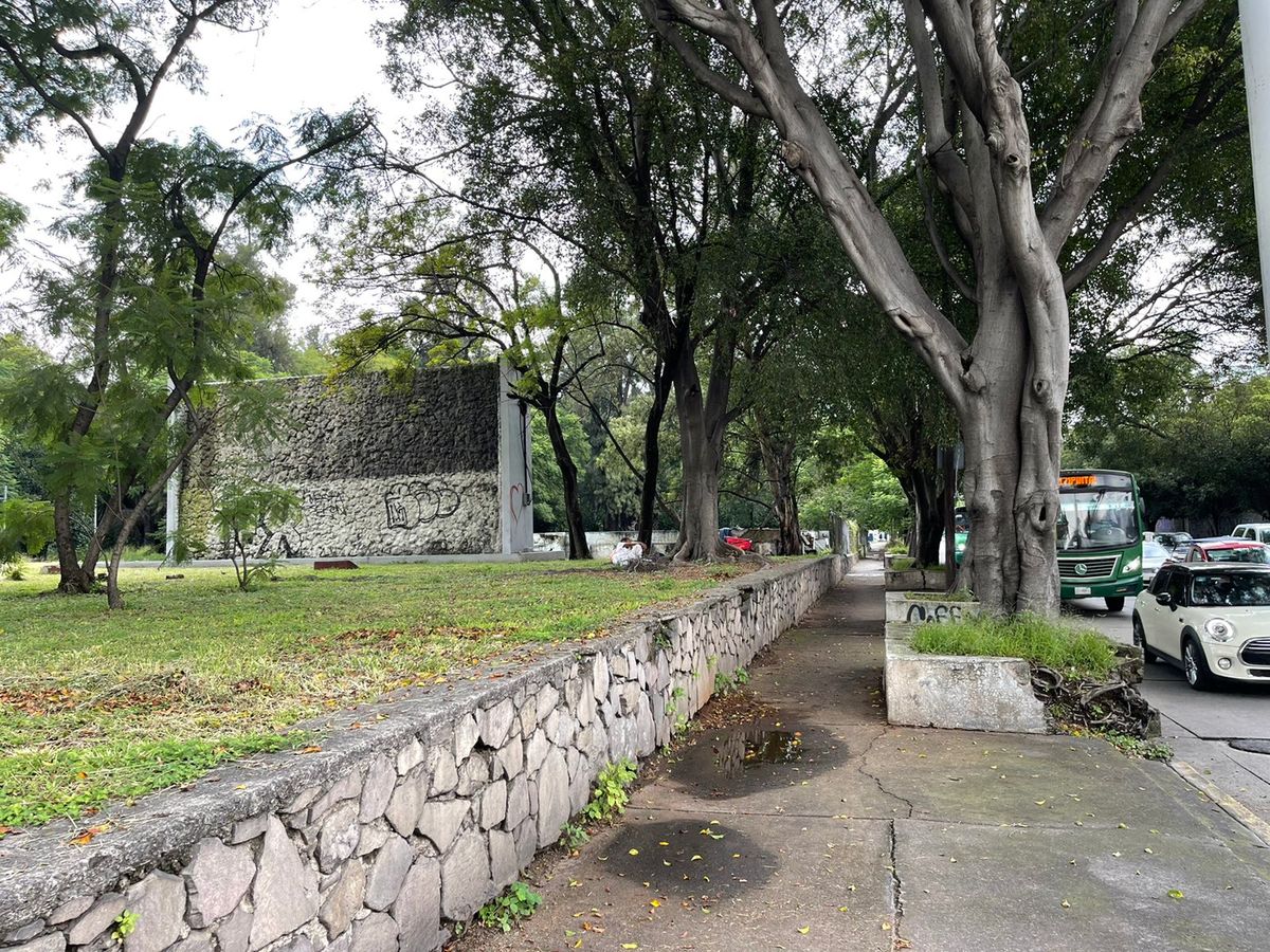 Fue robada la reja que da protección a la Primera sección del Parque Agua Azul. (Karla Rodríguez)