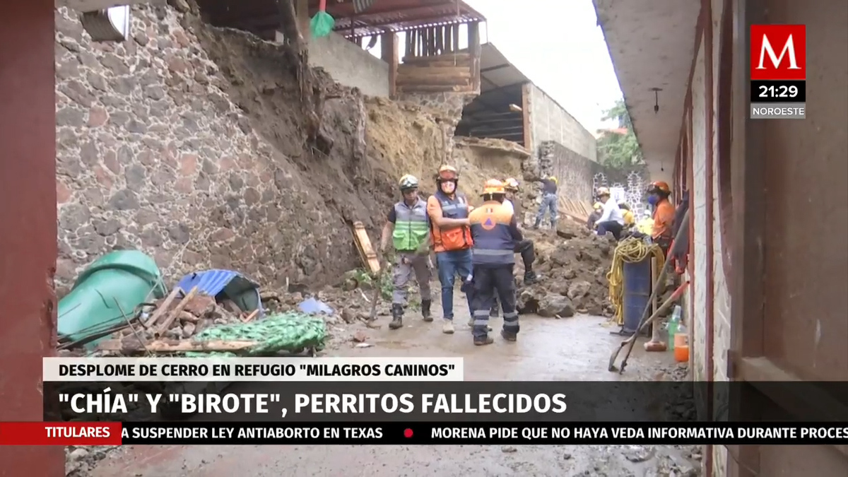 Chia y Birote', perritos fallecidos por desplome de cerro