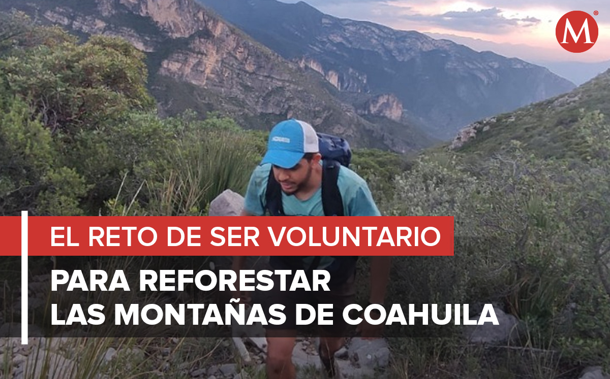 Cuesta arriba, el reto de ser voluntario para reforestar las montañas de Coahuila. (Especial)