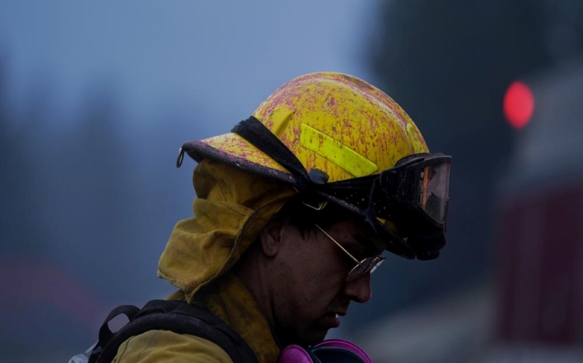 Senador de California propone contratar más de mil bomberos para incendios del próximo año. | AP