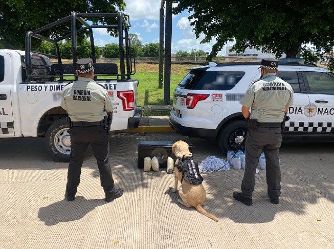 EN SINALOA, GRUPO CANINO LOCALIZA 8 KILOS DE PRESUNTA METANFETAMINA