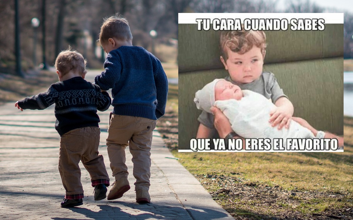 En redes celebran Día del Hermano con memes (Especial).