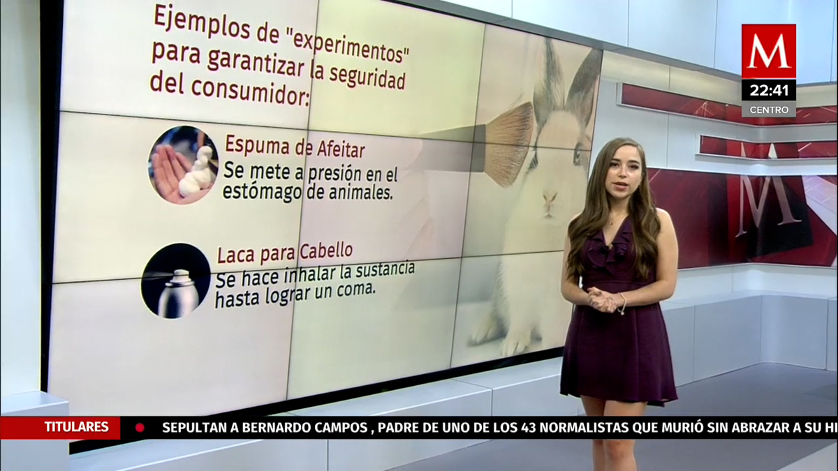 Senado aprueba multas y cárcel a quien testee cosméticos en animales