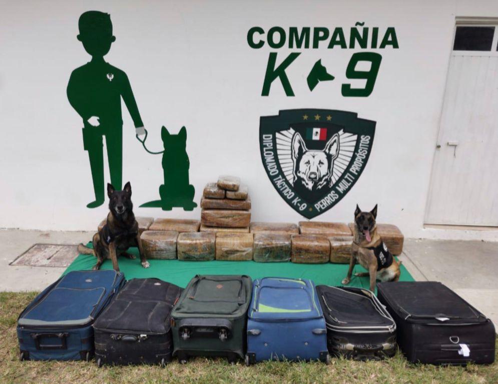 Entre las seis maletas contenían más de 130 kilogramos de mariguana