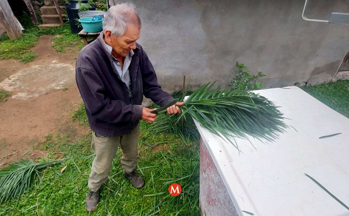 Don Elpidio y la palmilla. (Salma Navarro)