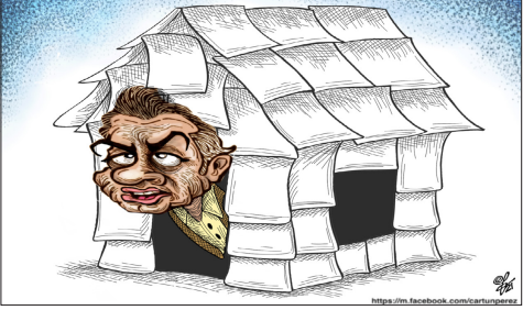 EL CARTUN PÉREZ
