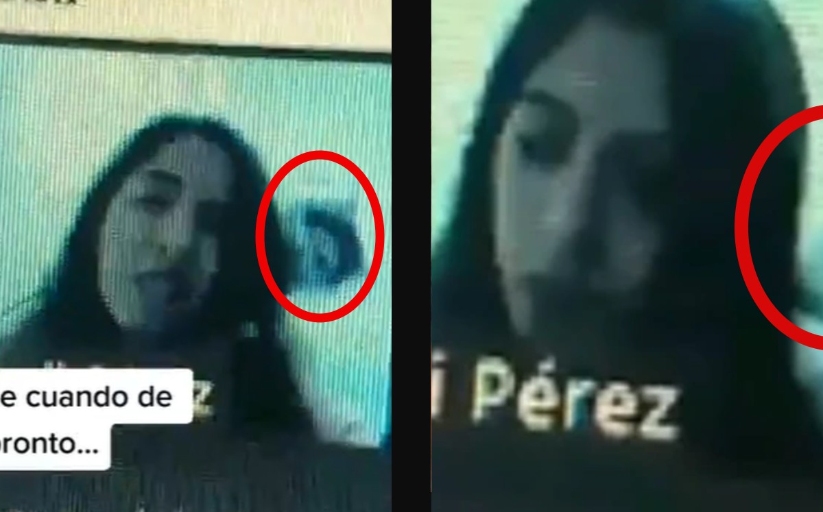 Gato despeina a su dueña en clase virtual; editan video con canción de “La rosa de Guadalupe”. (Especial)