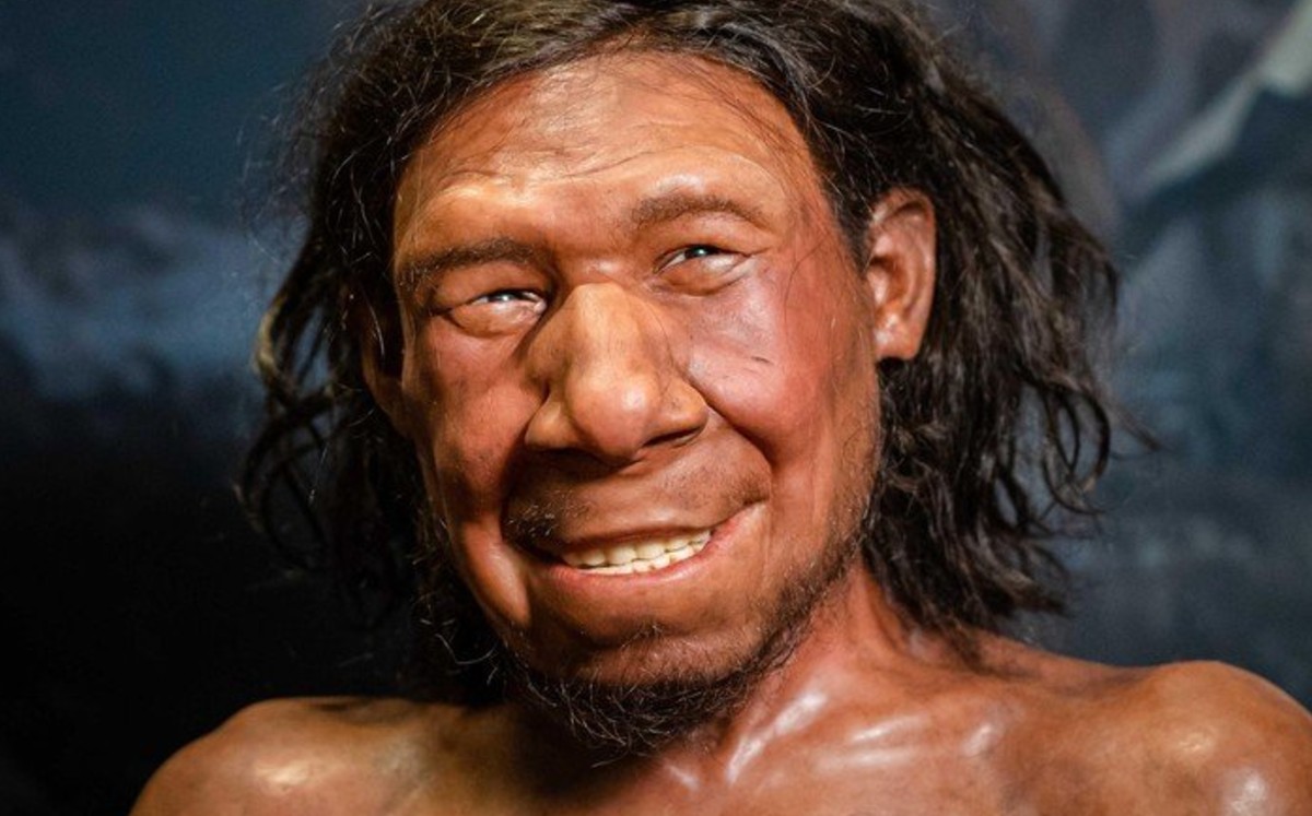 Reconstruido en Países Bajos el rostro del primer neandertal neerlandés. (EFE)