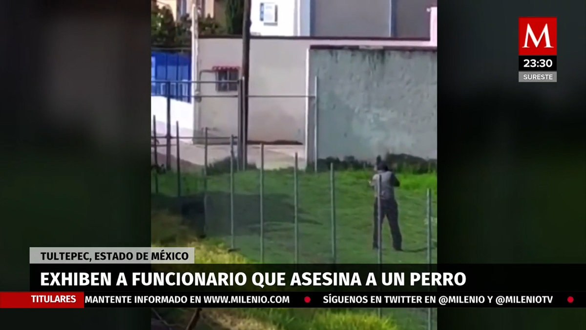 En Tultepec, funcionario municipal arrincona a perrito y lo balea