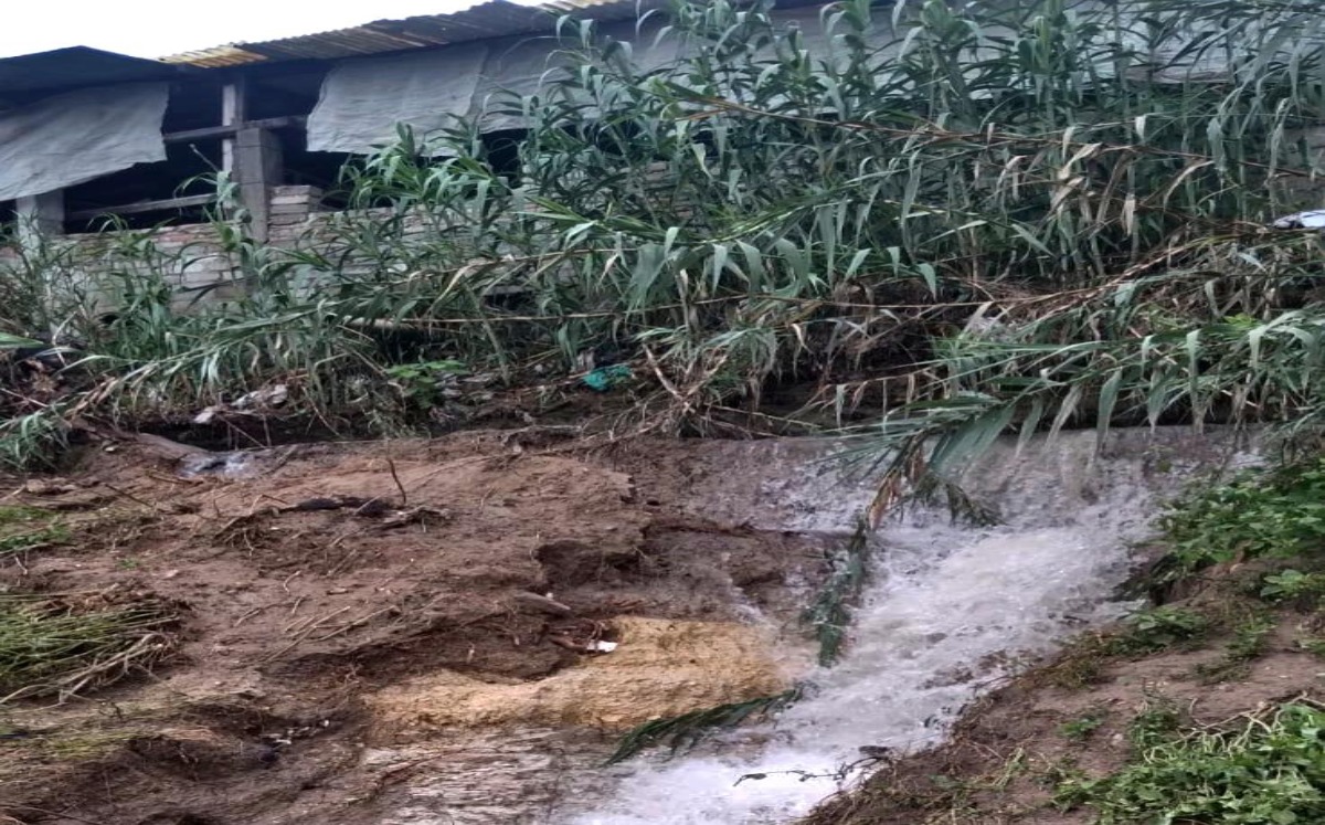Viviendas de San Diego Chalma presentan daños por lluvias | Especial