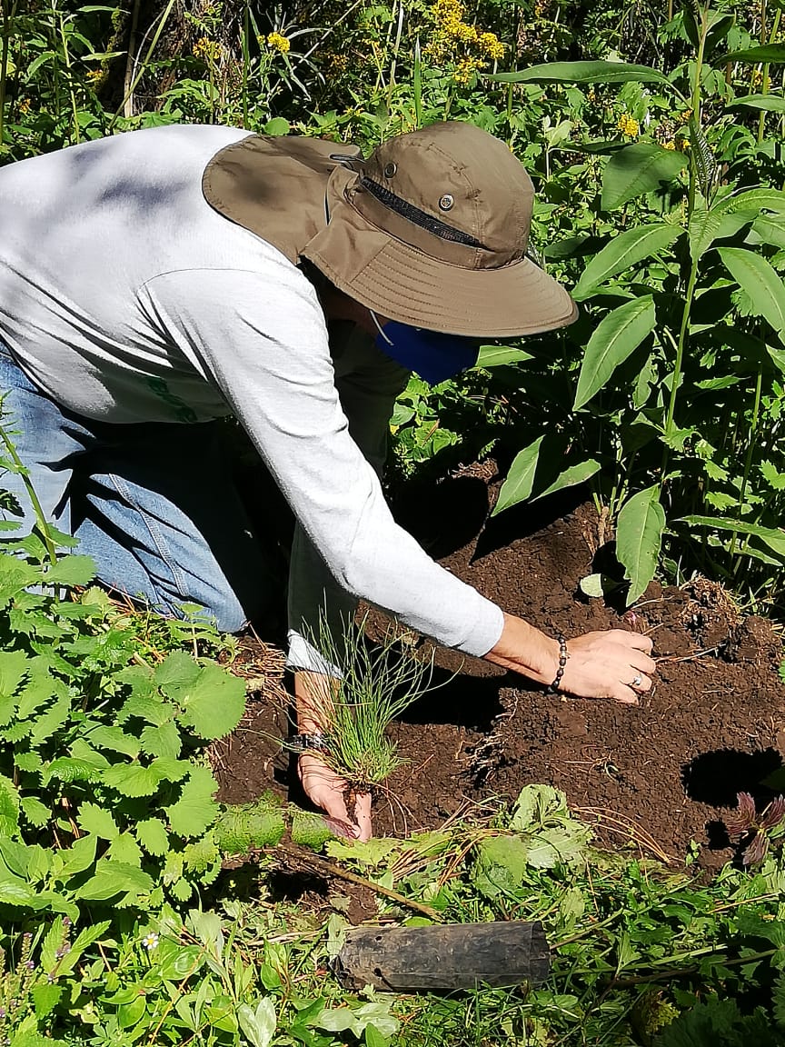 Banana Republica y Reforestemos México hacen sinergia | Especial