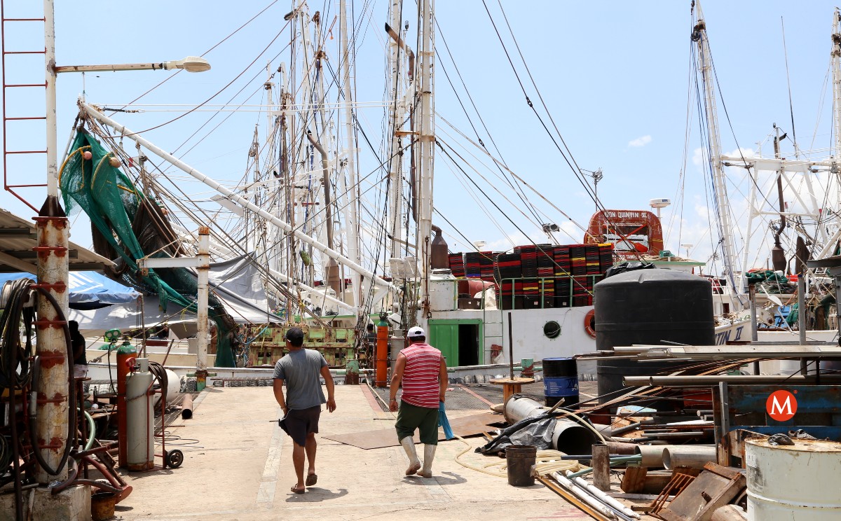 Barcos camaroneros. (Yazmín Sánchez)
