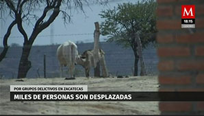 Miles de personas son desplazadas en Zacatecas