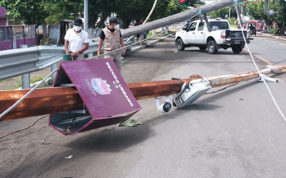 También se reportó la caída de dos palmeras sobre el tramo carretero Tapachula-Puerto Madero. | Julio Navarro