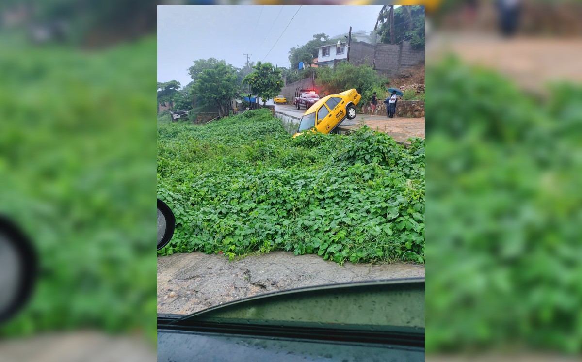 Las tormentas y fuertes ráfagas de viento generaron en diversas zonas del Istmo de Tehuantepec la caída de árboles. | Óscar Rodríguez
