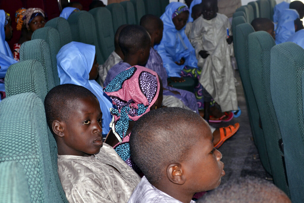 Los yihadista han ampliado su poder en las zonas deshabitadas de Niger y Nigeria. (AP)
