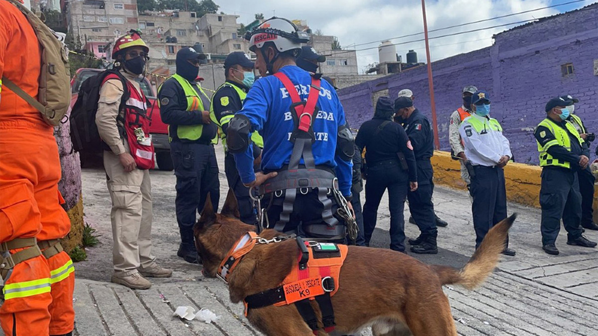 Víctimas del derrumbe en Tlalnepantla pueden estar más abajo