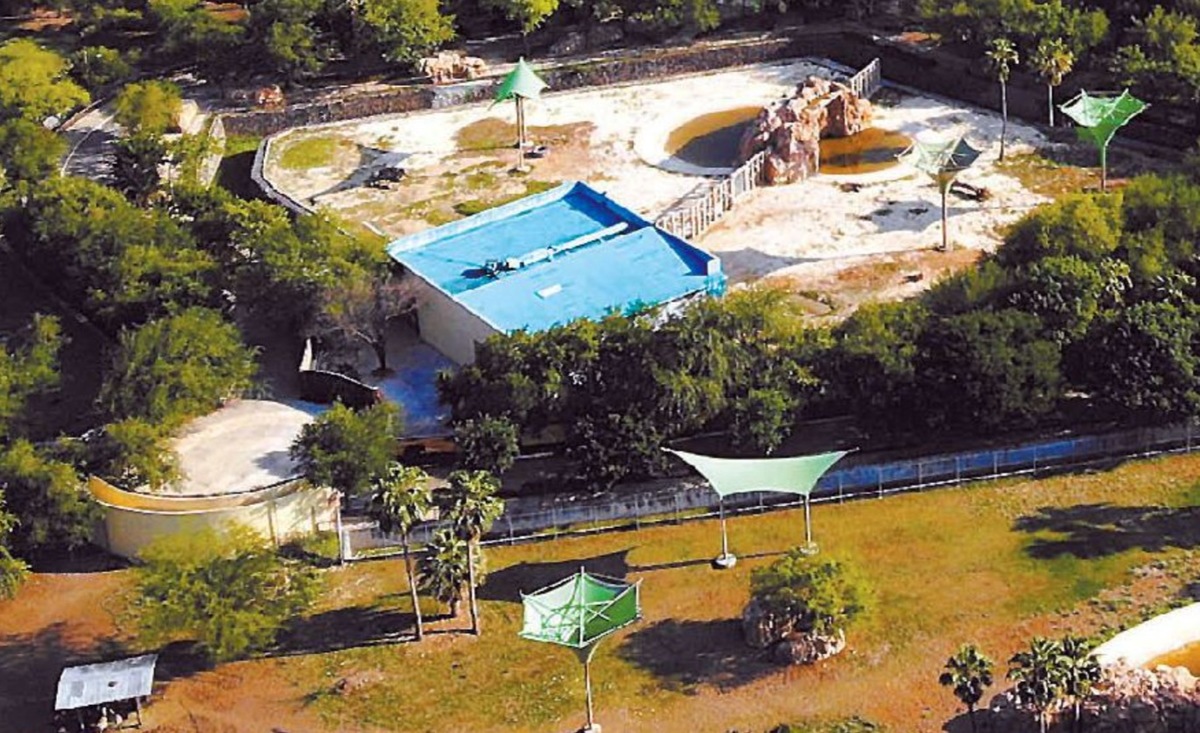 Agua sucia, espacios insalubres y estrechos, hierba crecida, son algunos de los problemas que se aprecian en el parque. Jorge López