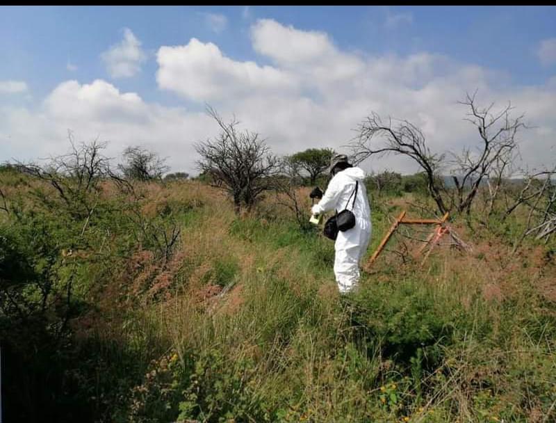 Encuentran fosa clandestina en comunidad de Alfaro en León