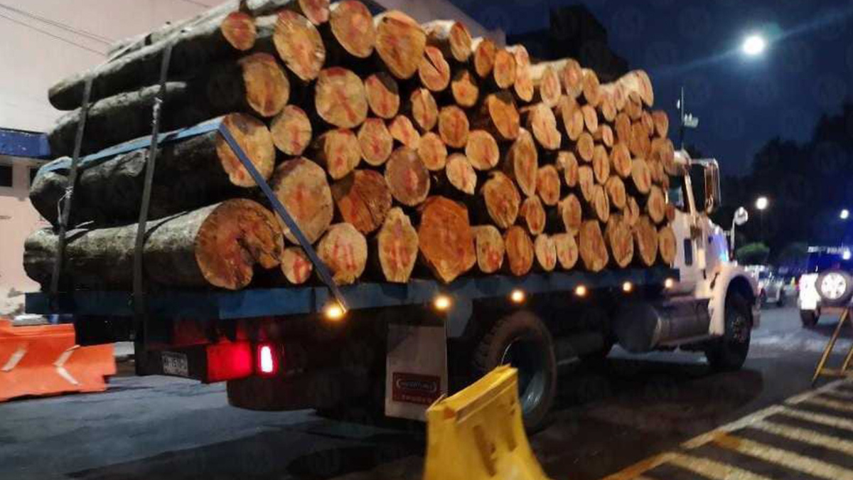 En CdMx, detienen a dos presuntos talamontes en el Ajusco