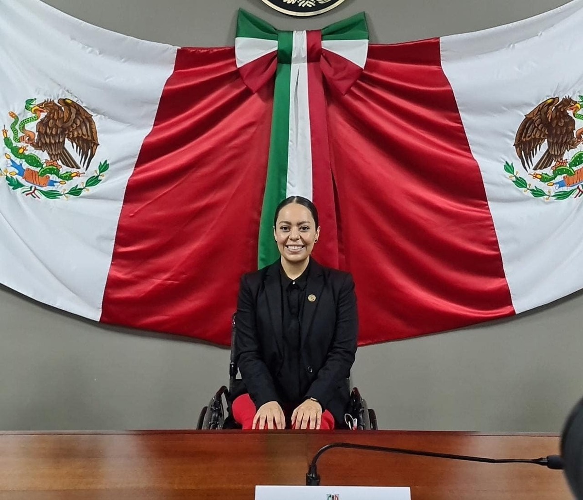 Michelle Calderón Ramírez licenciada en derecho, diputada por el PRI. (Especial
