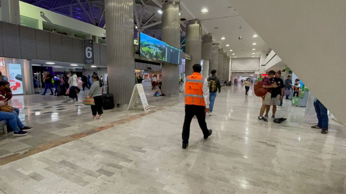 Así se ve la terminal del AICM después del limpiar. (Luis Alfaro)