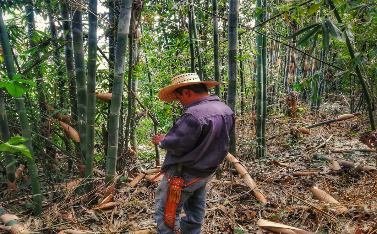 Antonio González es un trabajador de la tierra en la Sierra Norte de Puebla | Alfonso Fuentes
