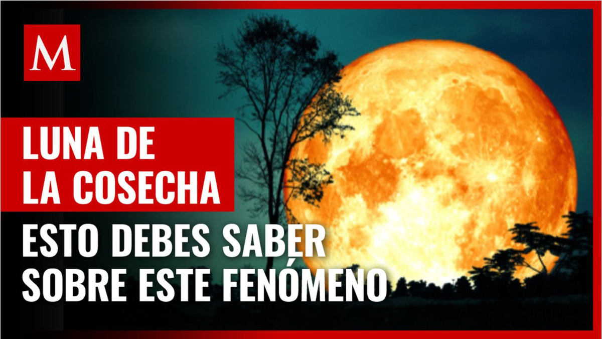 ¿Qué es la 'Luna de la Cosecha'?