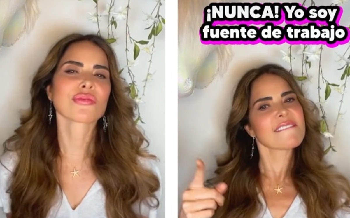 La cantante se pronunció en TikTok. (Captura)