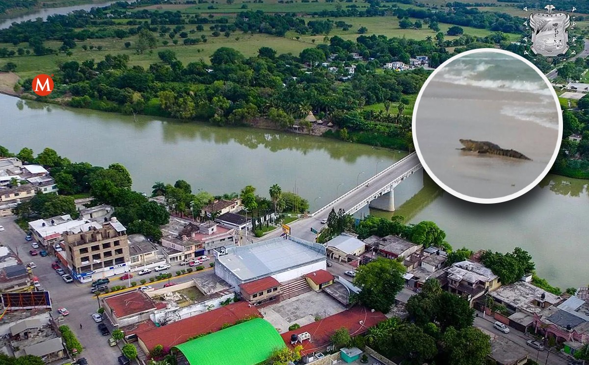 Ante creciente en río Pánuco, aumenta riesgo de presencia de cocodrilos en Miramar. (Especial)