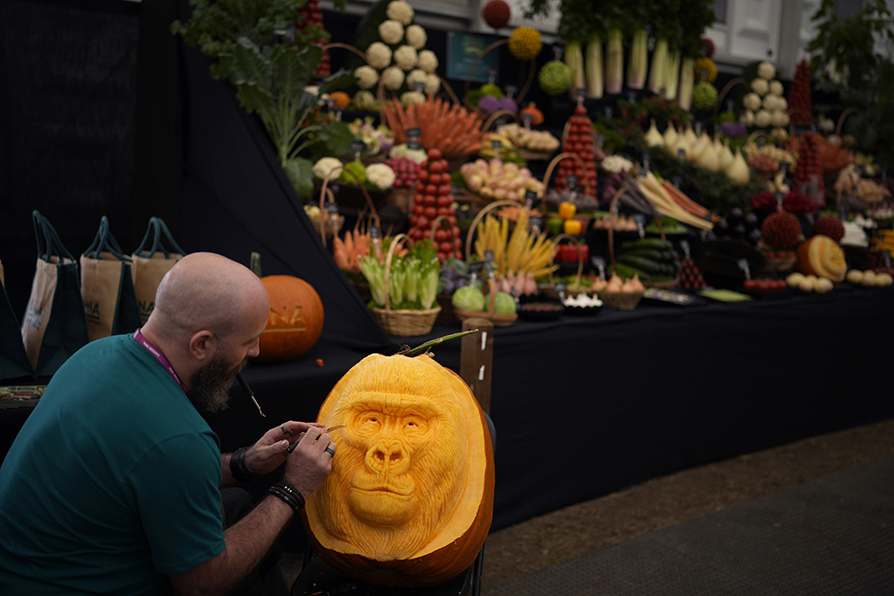 Es un festival de flores, plantas, jardines y todo lo relacionado con el mundo de la horticultura. | AP