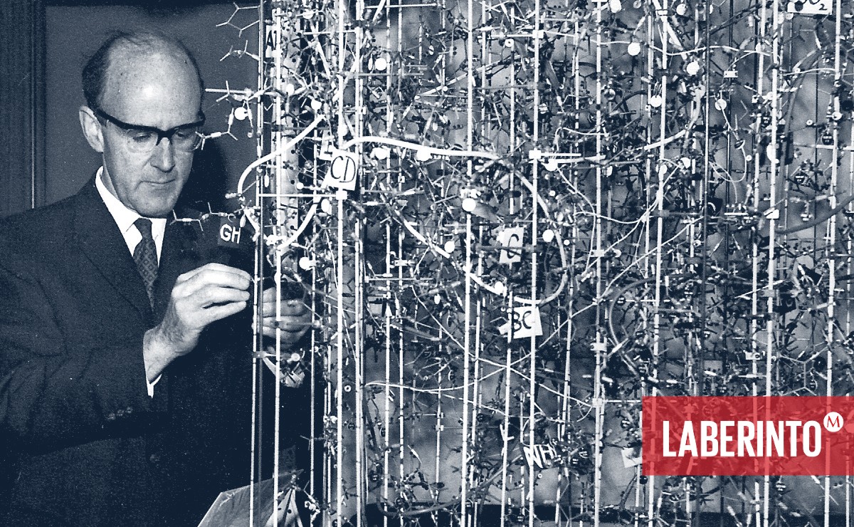 Max F. Perutz con su primer modelo de hemoglobina en alta resolución. (Foto: maxperutzlabs.ac.at)
