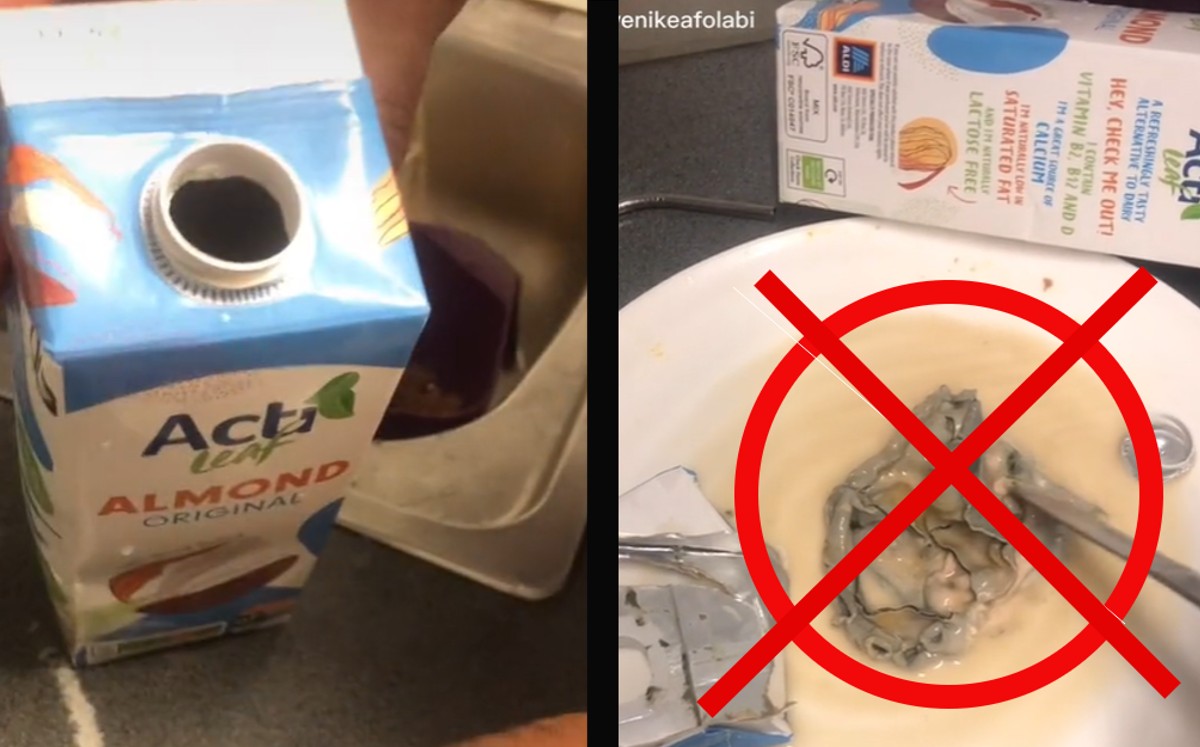 ¿Qué animal es? Mujer halla animal de mar en leche. (Especial)