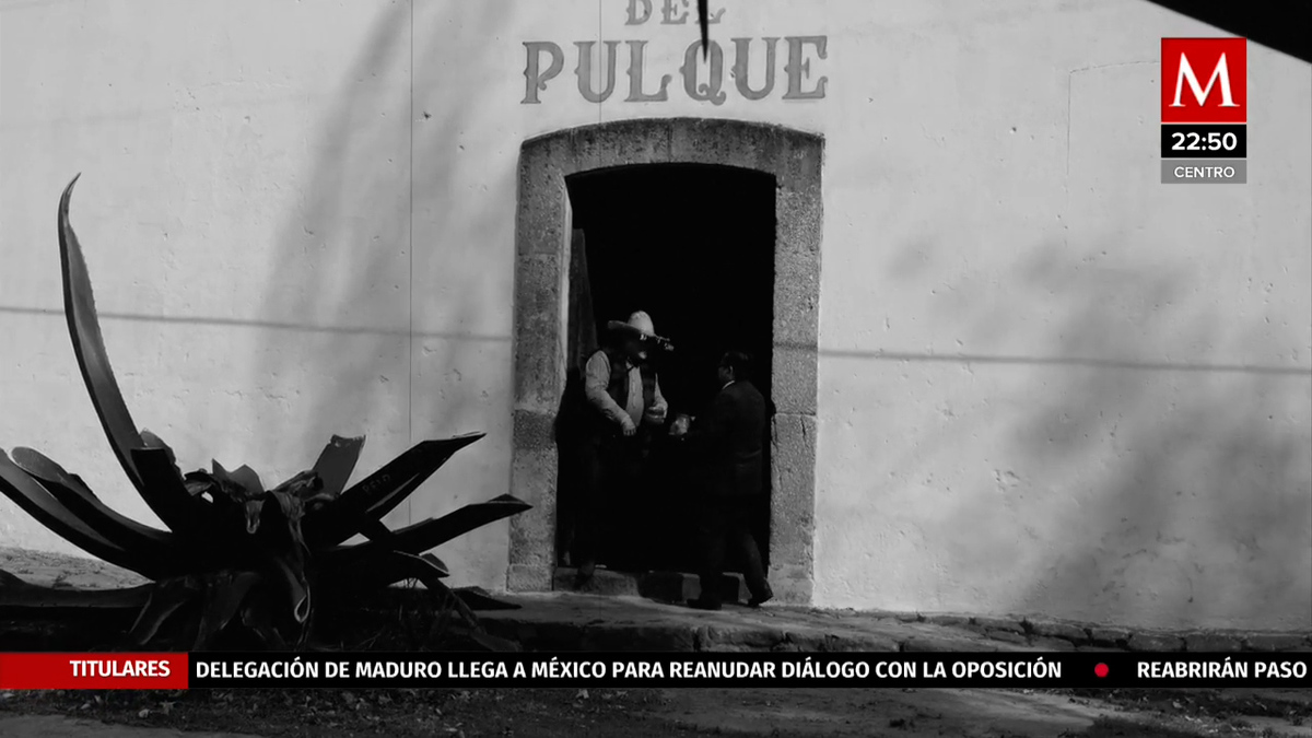 Tequila, Pulque y Mezcal bebidas derivadas del agave en Guanajuato