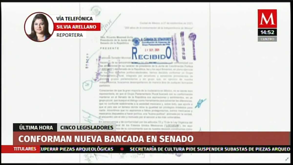 Confirman nueva bancada en Senado