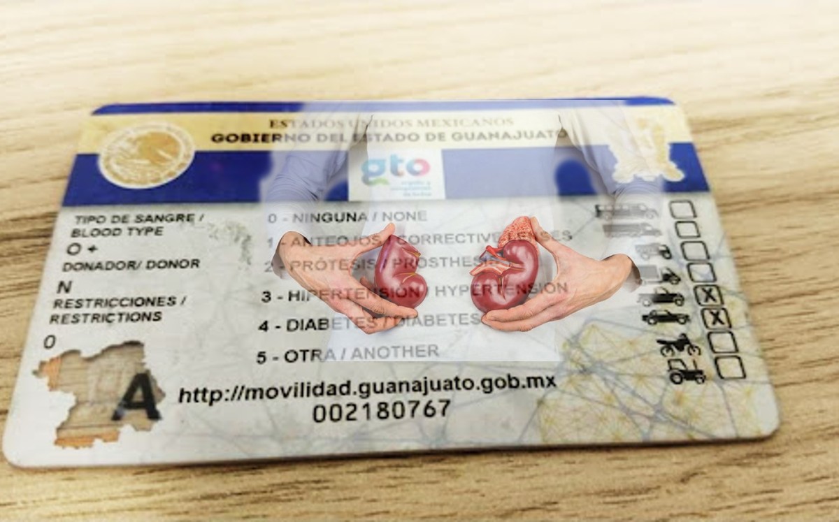 El titular de la licencia podrá elegir si dona o no.
