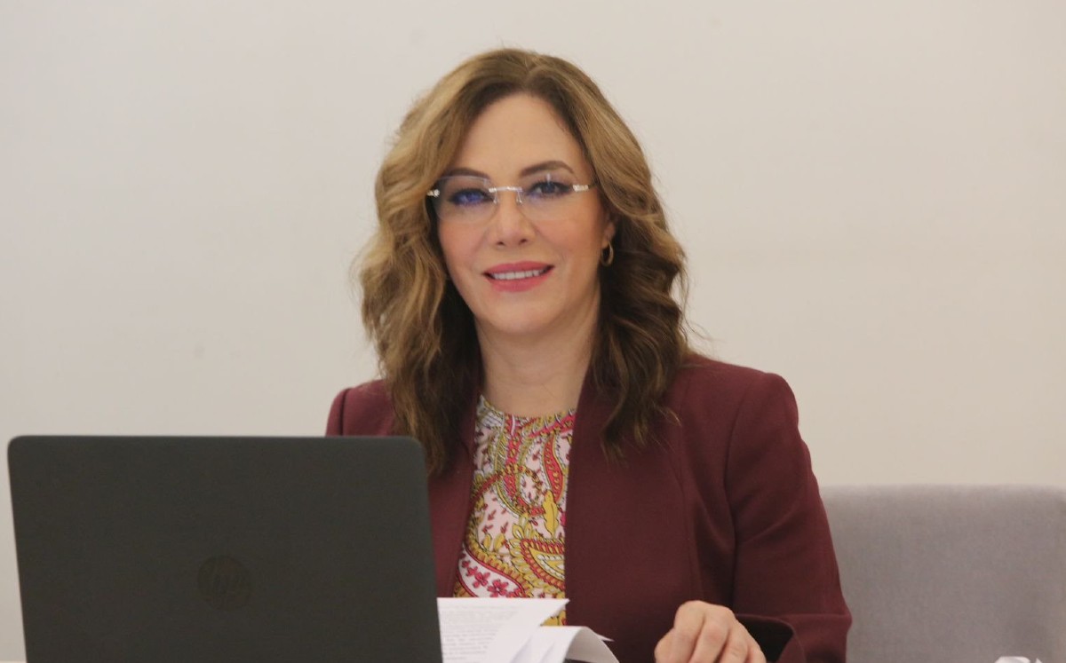 Ninguna institución del Estado puede eludir sus obligaciones en materia de acceso a la información, afirmó Ibarra. | Twitter